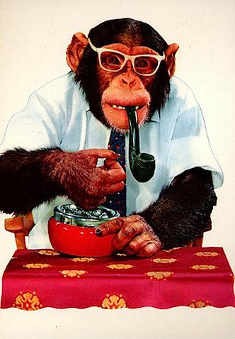 pipe smoking Funny Monkey in Glasses_4